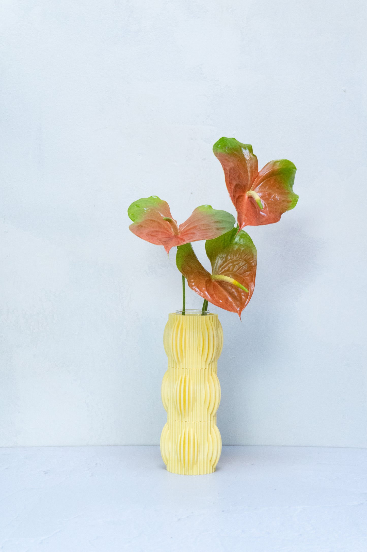 Florero Elvira Burbujas