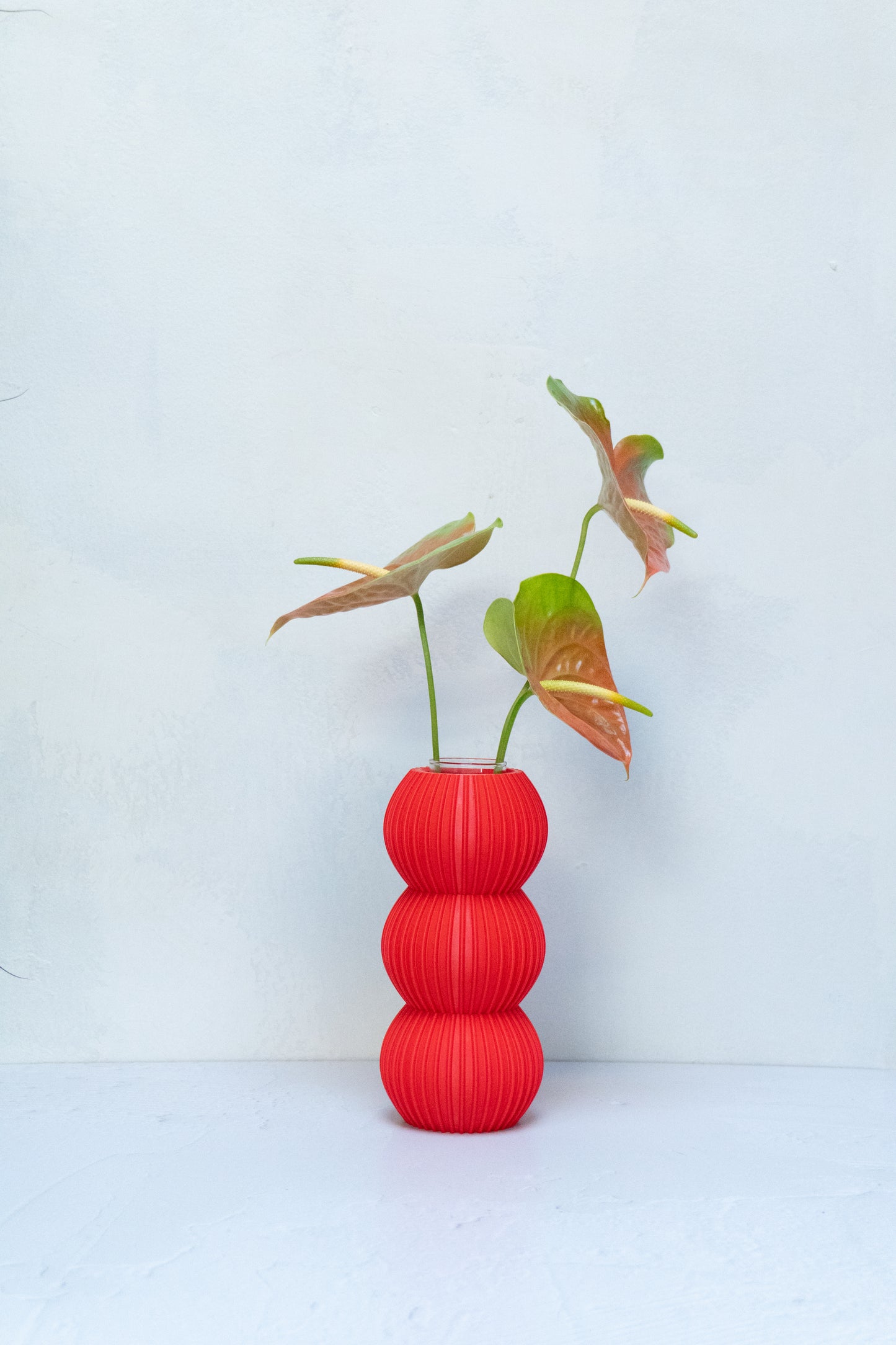 Florero Elvira Círculo