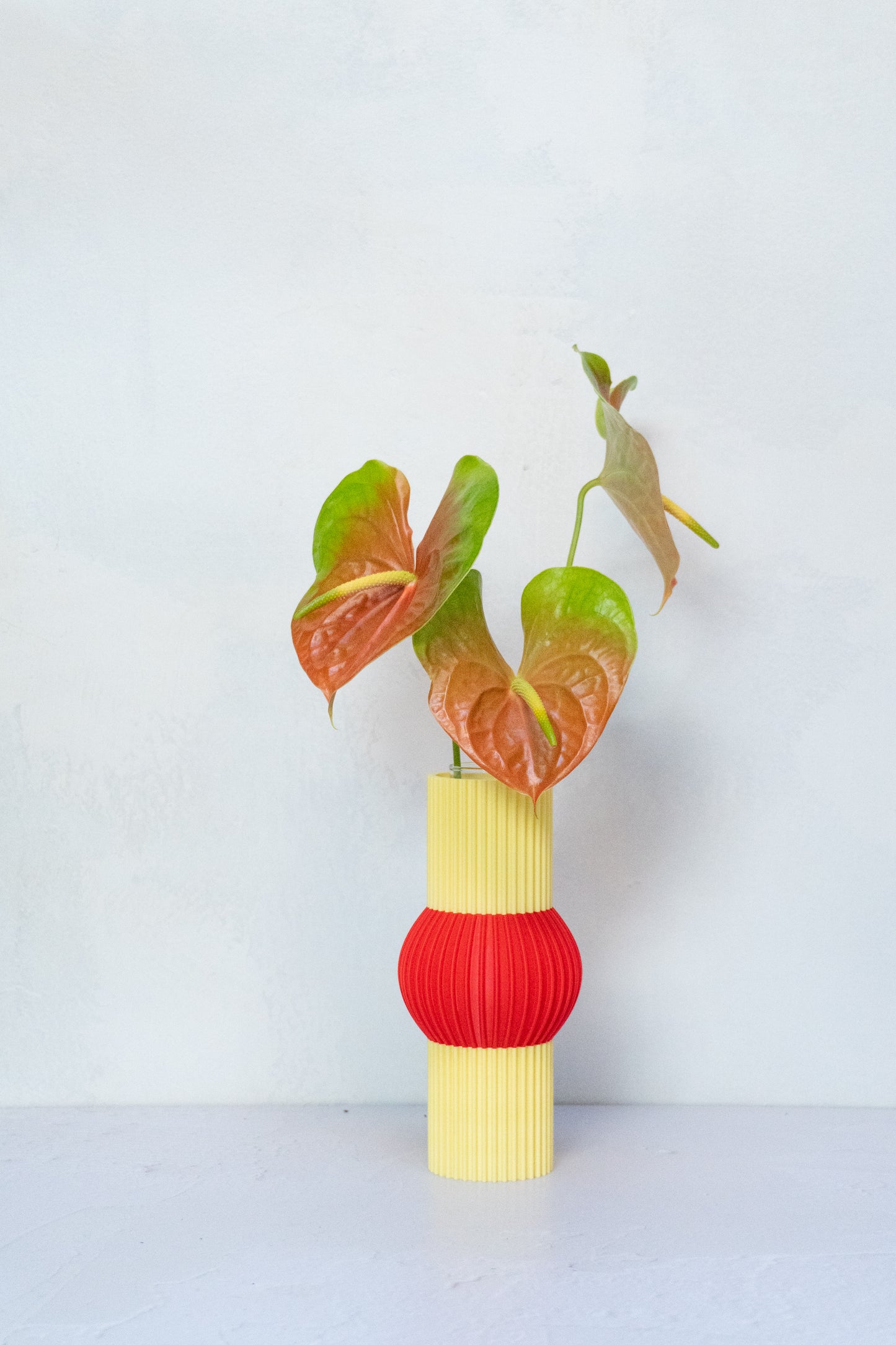 Florero Elvira Hongo