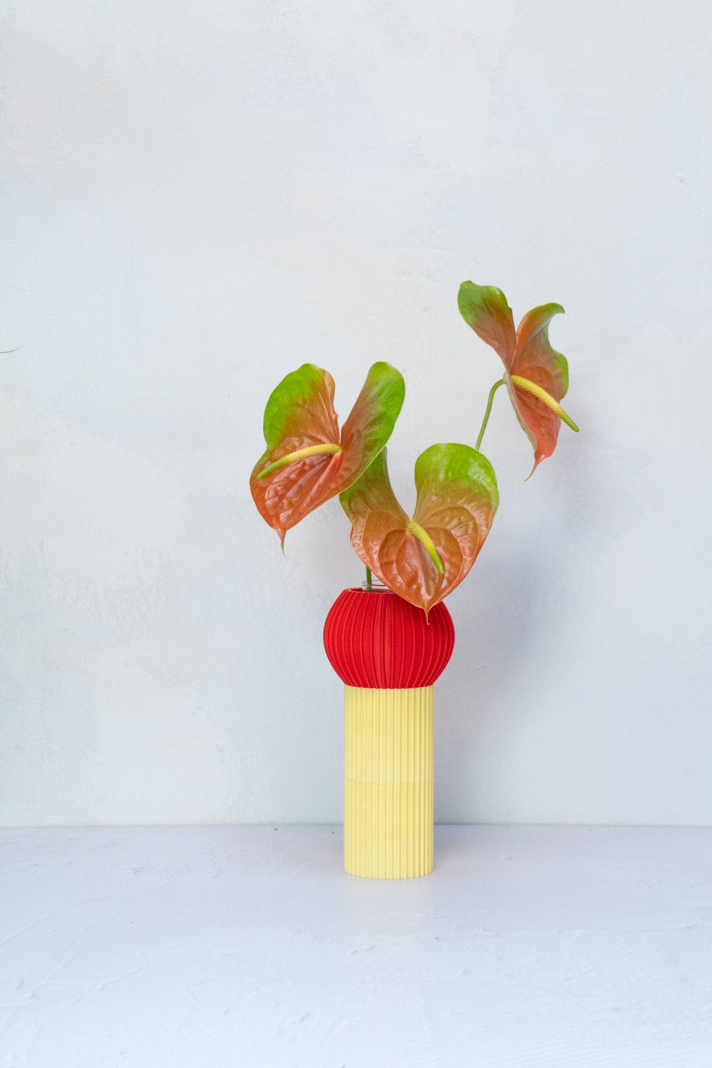 Florero Elvira Hongo