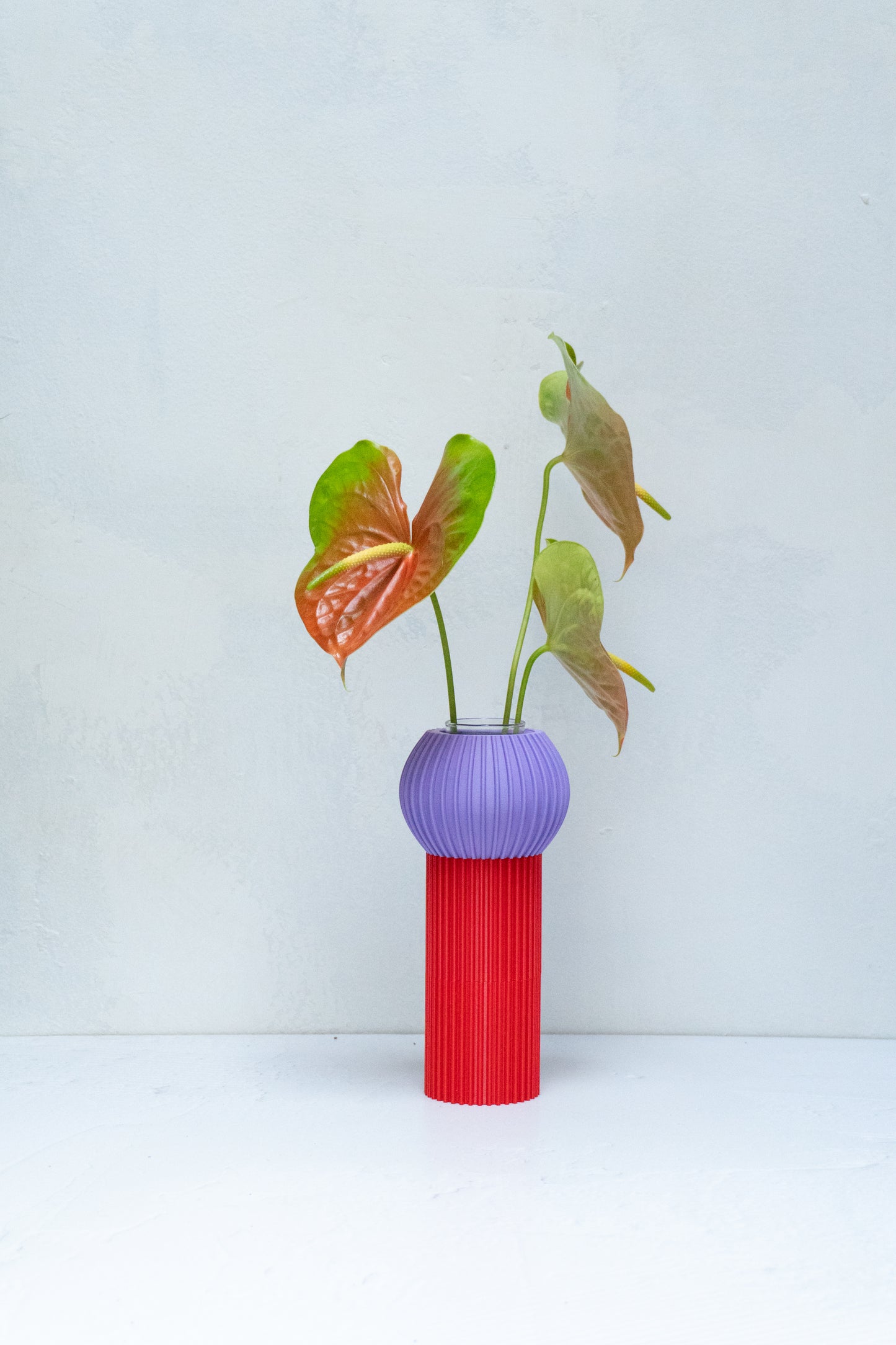 Florero Elvira Hongo