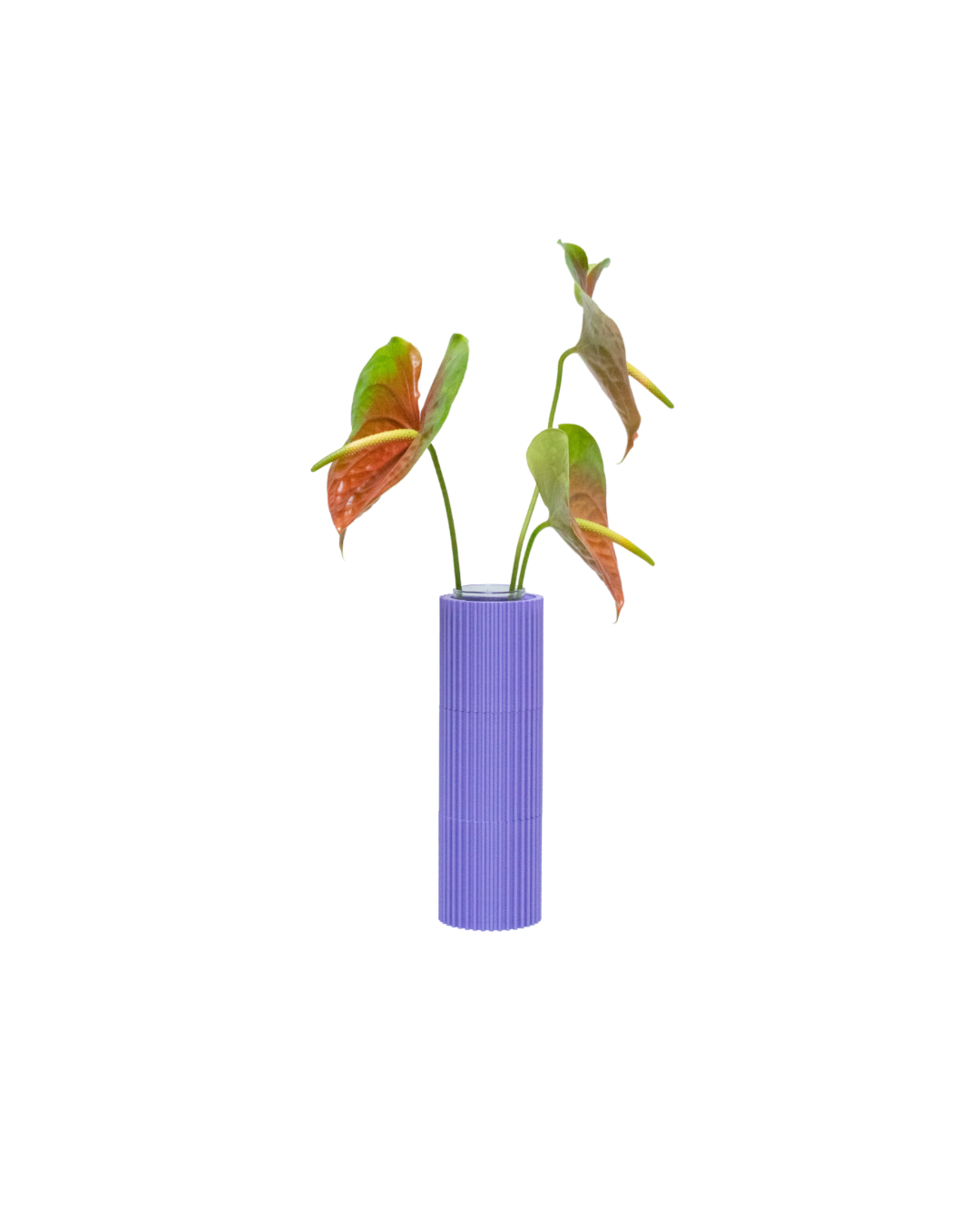 Florero Elvira Torre