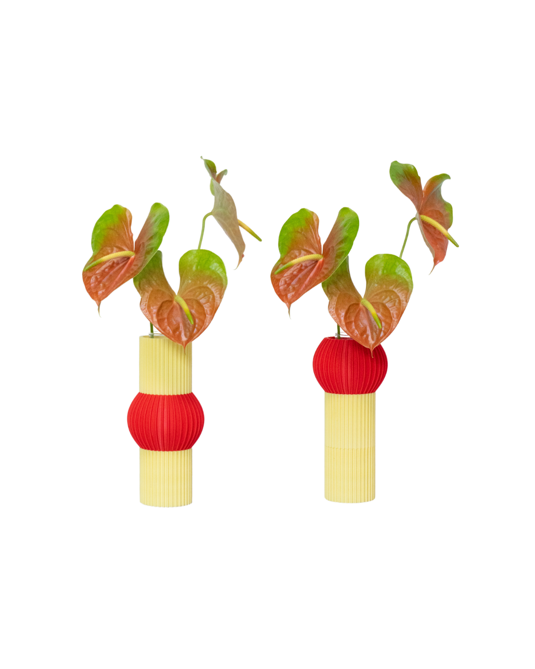 Florero Elvira Hongo