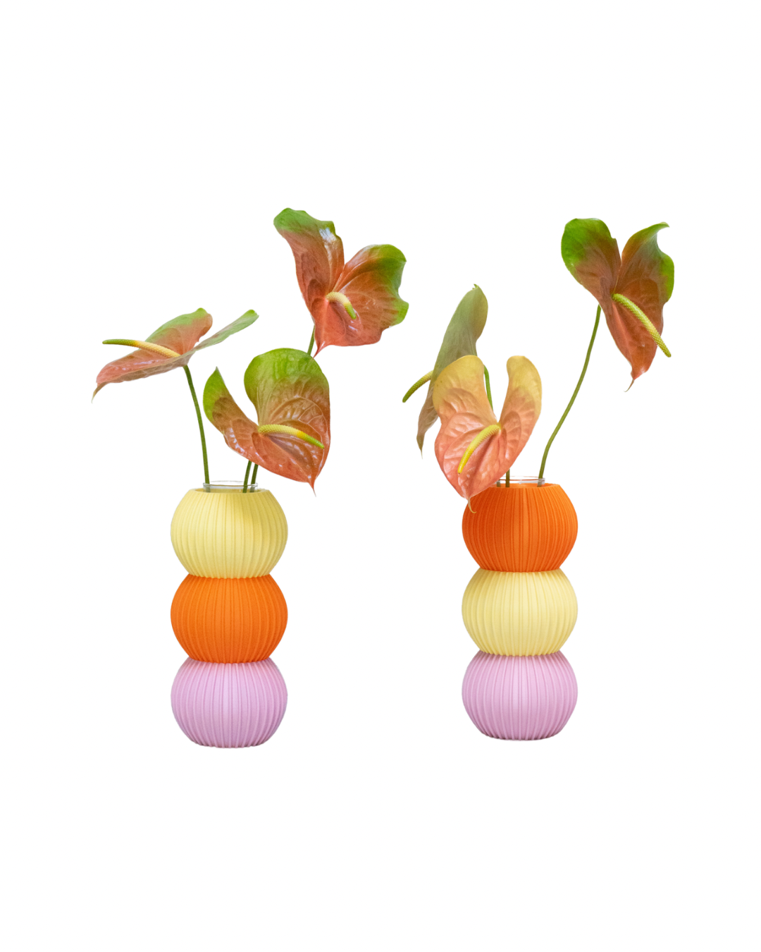 Florero Elvira Círculo