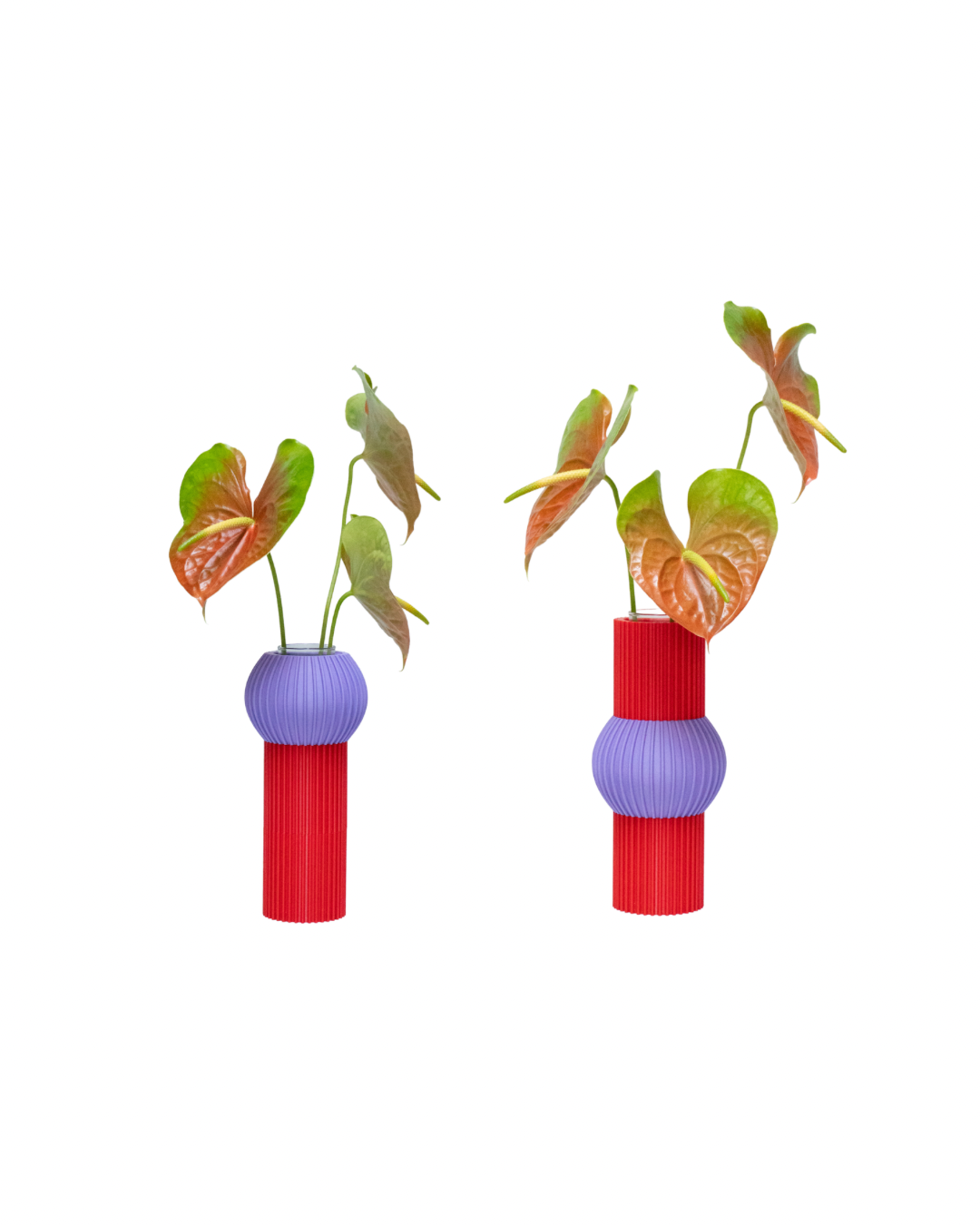 Florero Elvira Hongo