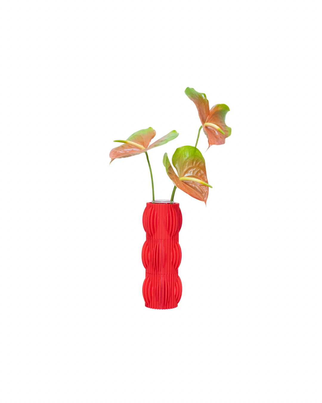 Florero Elvira Burbujas